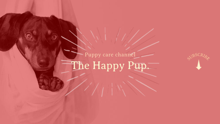 Placeit - Youtube Banner Maker with Cute Puppies